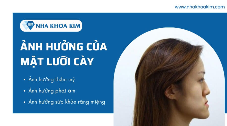 Ảnh hưởng của mặt lưỡi cày 