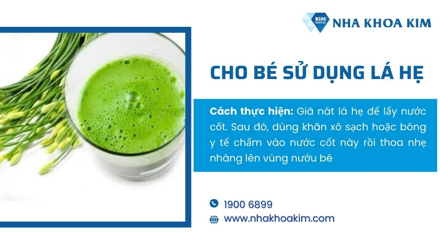 Cách làm cho răng mọc nhanh bằng lá hẹ