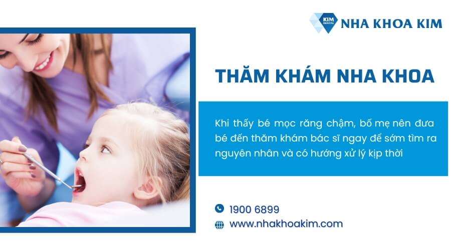 Đưa trẻ đến cơ sở nha khoa để được thăm khám