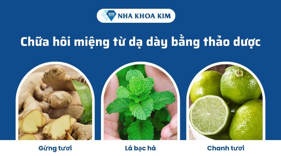 Chữa hôi miệng từ dạ dày tại nhà bằng thảo dược