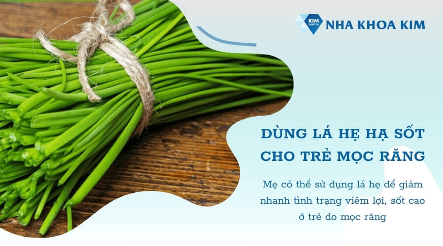 Cách giảm sốt mọc răng 39 độ tại nhà bằng lá hẹ