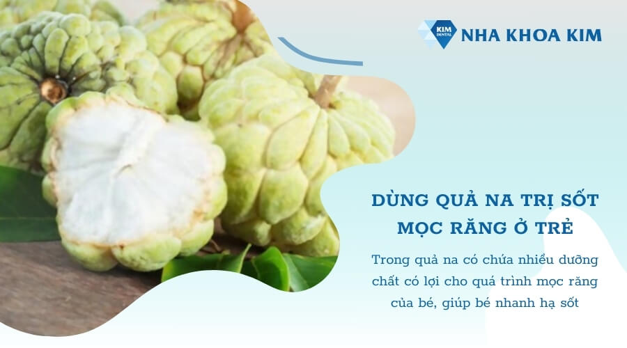 Cách giảm sốt mọc răng 39 độ tại nhà bằng quả na