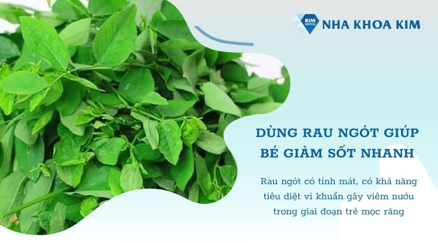 Mẹo giảm sốt mọc răng 39 độ tại nhà bằng rau ngót
