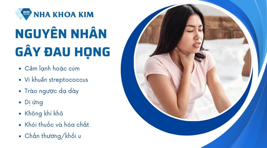 Nguyên nhân gây đau họng là gì