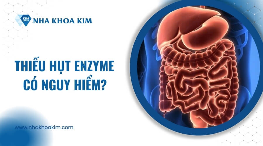 Cơ thể thiếu hụt Enzyme có nguy hiểm không?