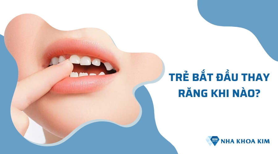 Trẻ bắt đầu thay răng từ khi nào?