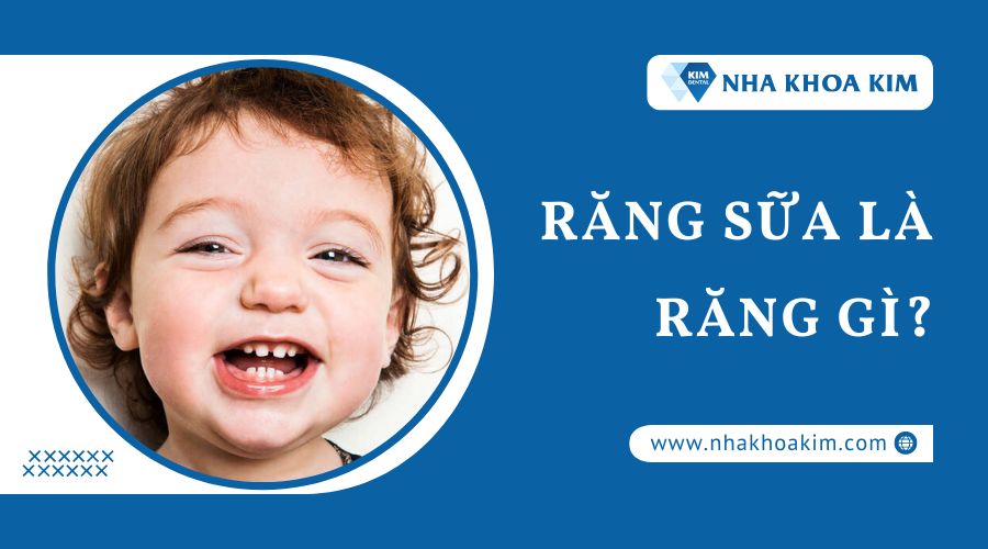 Răng sữa là răng gì?