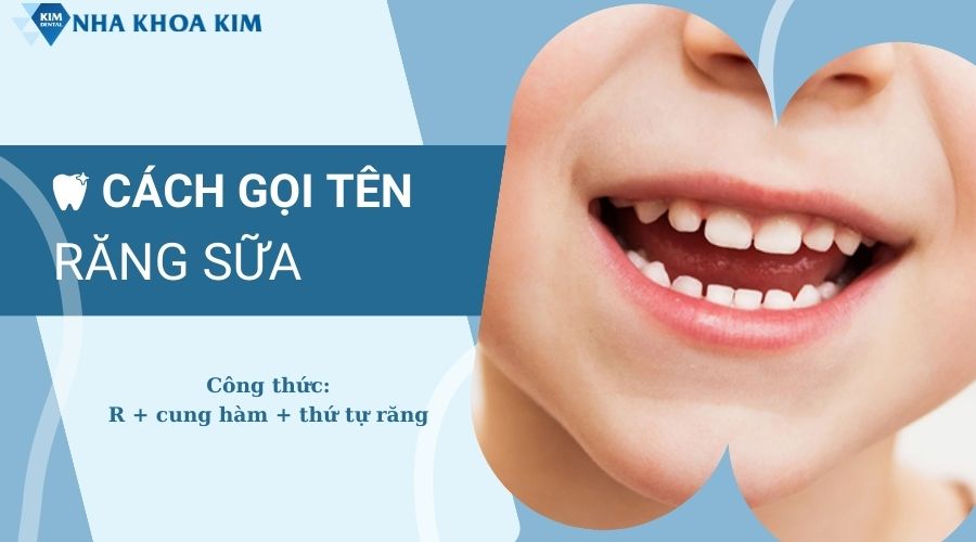 Cách đọc tên và số thứ tự trên sơ đồ răng sữa