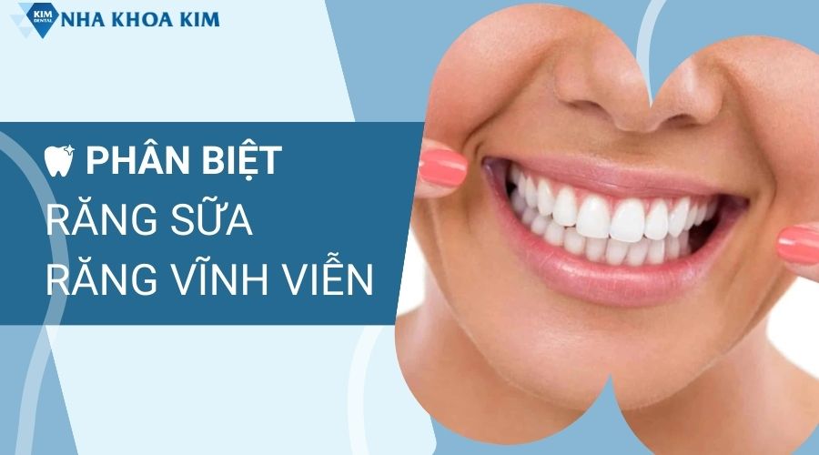 Cách phân biệt răng sữa và răng vĩnh viễn
