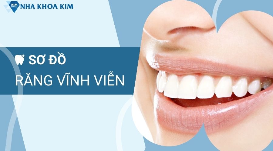 Số thứ tự trên sơ đồ răng vĩnh viễn