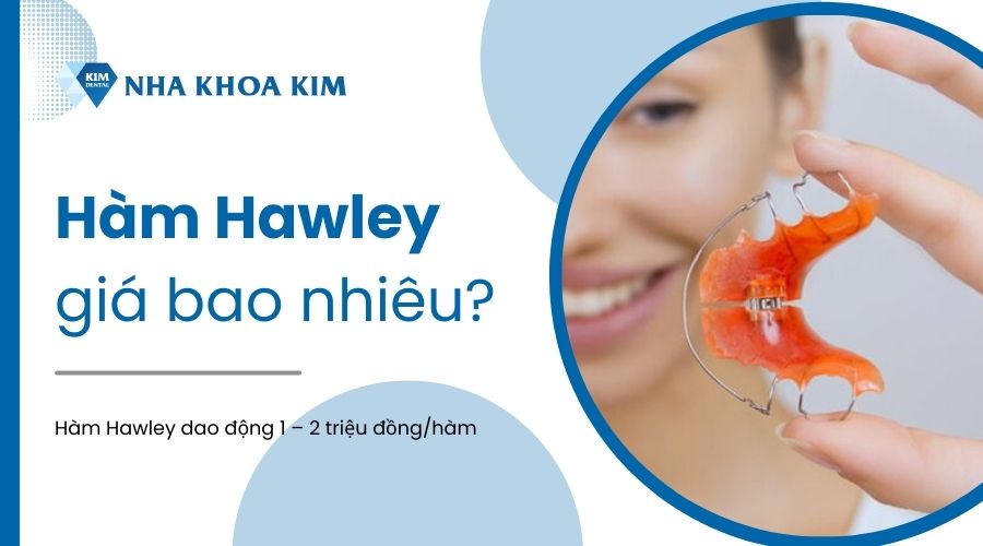 Hàm duy trì hawley giá bao nhiêu?