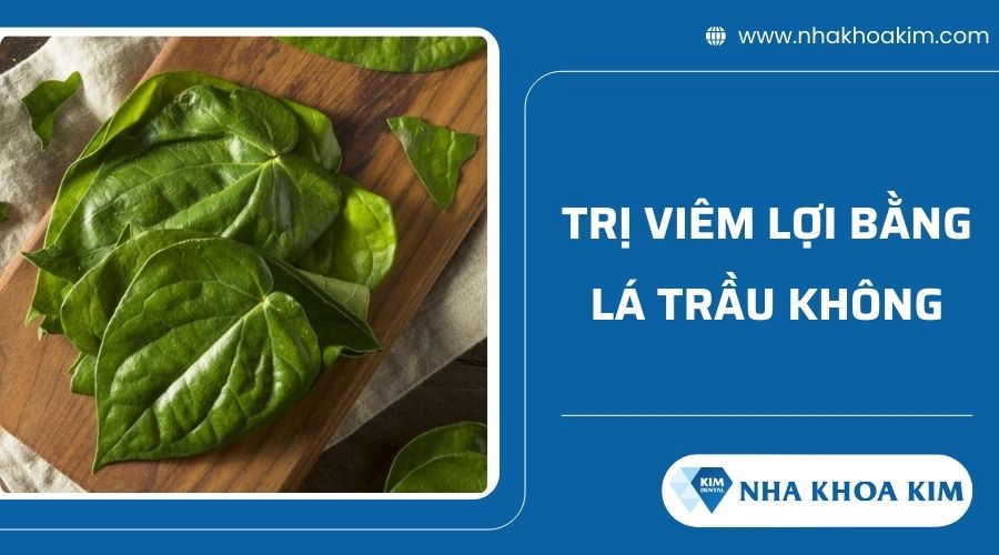 Cách chữa viêm lợi tại nhà bằng lá trầu không