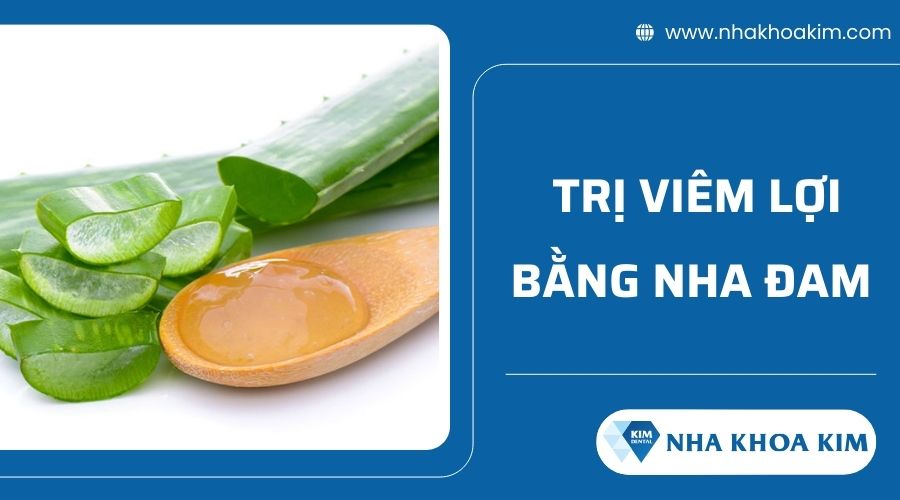 Cách chữa viêm lợi tại nhà bằng lô hội