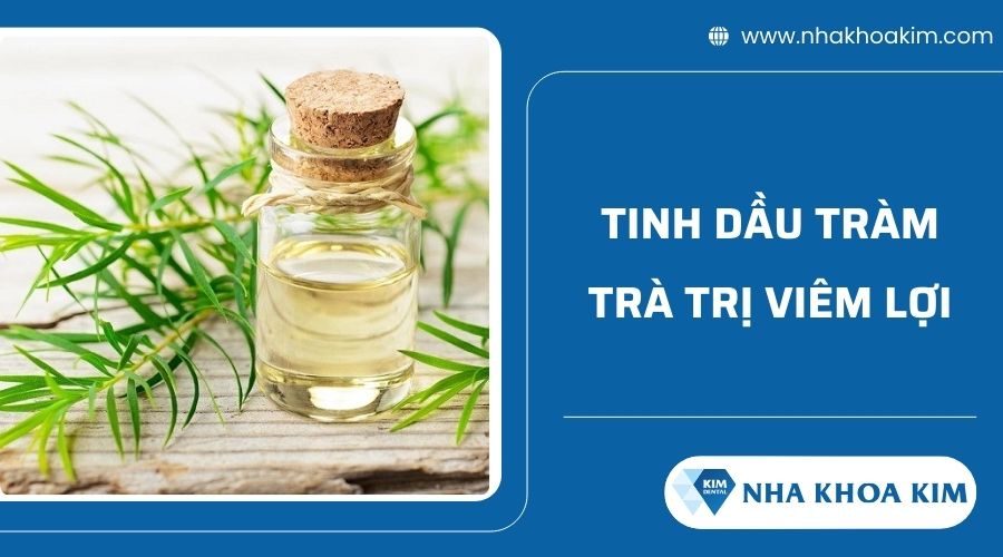 Cách chữa viêm lợi tại nhà bằng tinh dầu tràm