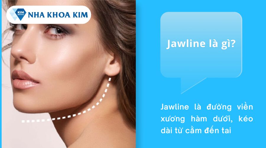 Jawline là gì?