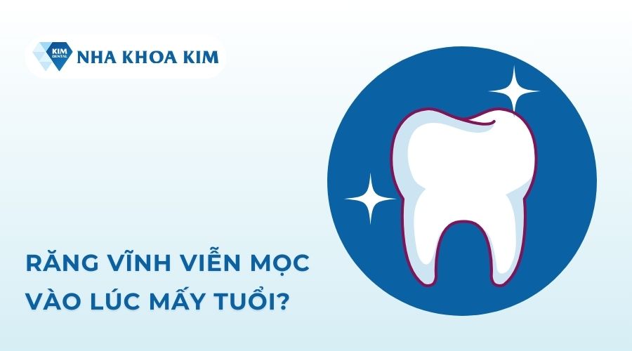 Răng vĩnh viễn mọc vào lúc mấy tuổi?