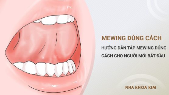 Hướng dẫn tập mewing đúng cách cho người mới bắt đầu