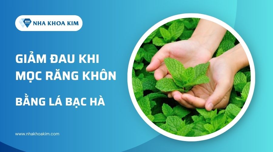 Sử dụng lá bạc hà giúp giảm đau đau khi mọc răng khôn