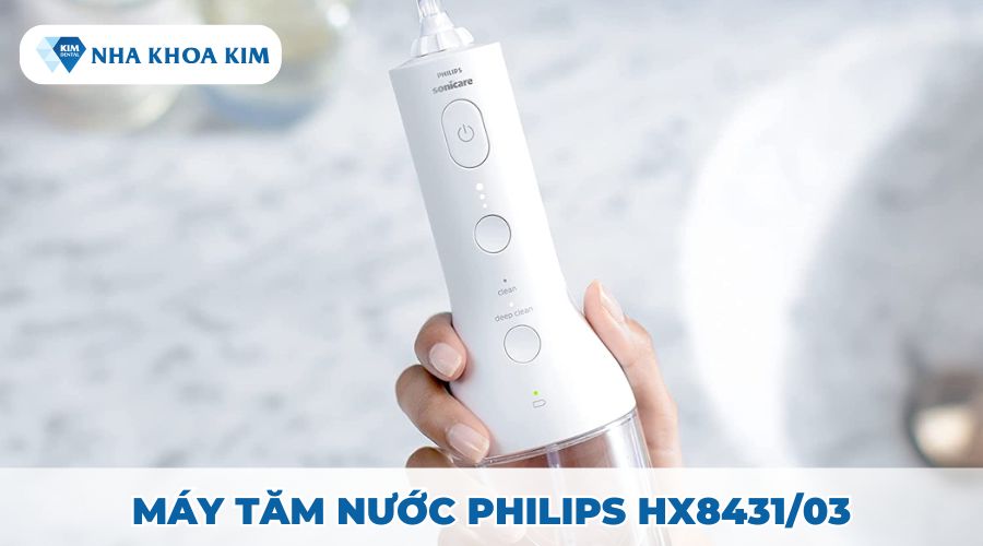 Máy tăm nước Philips HX8431/03