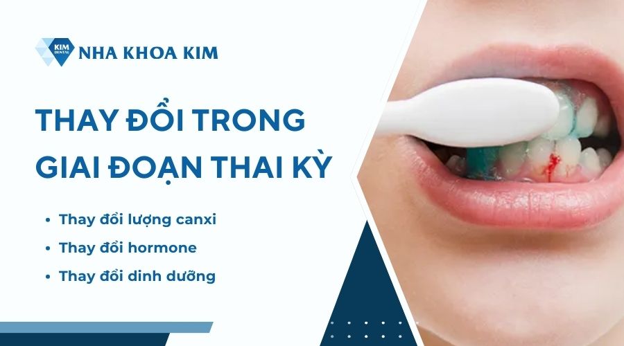 Tại sao bà bầu bị chảy máu chân răng?
