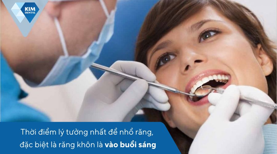 Nên nhổ răng vào thời gian nào trong ngày?