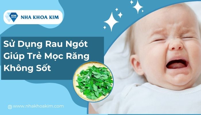 Rau ngót cũng là một mẹo dân gian để trẻ không sốt khi mọc răng