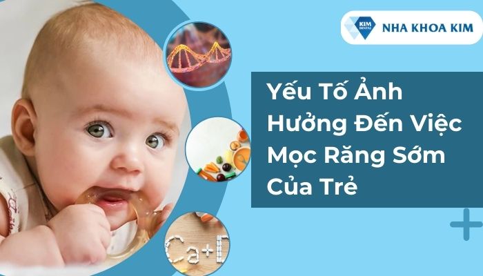 yếu tố ảnh hưởng đến việc bé mọc răng sớm