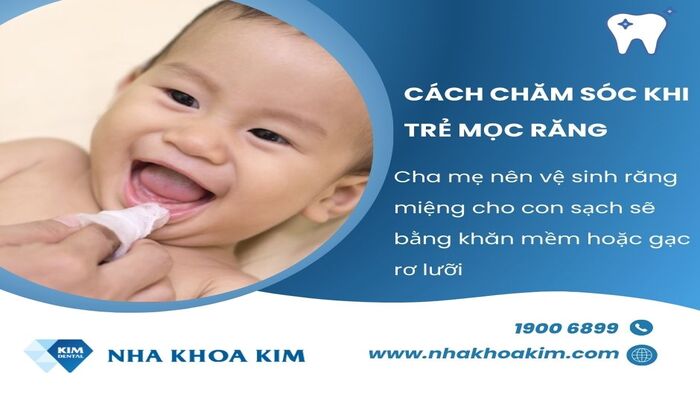 cách chăm sóc cho trẻ mọc răng sớm