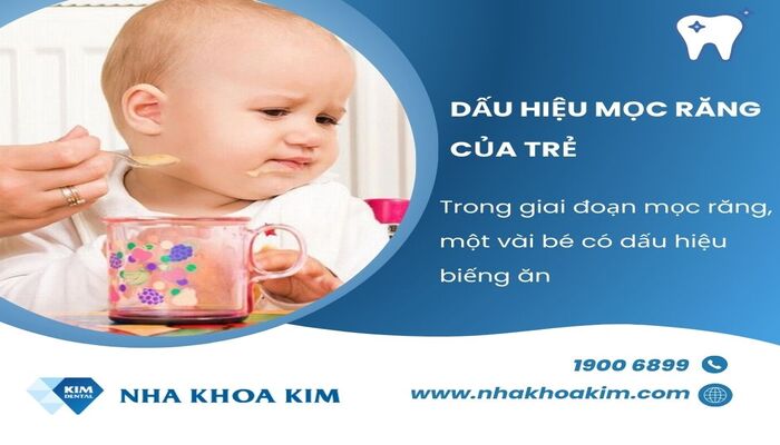 Dấu hiệu mọc răng sớm ở trẻ khi biếng ăn