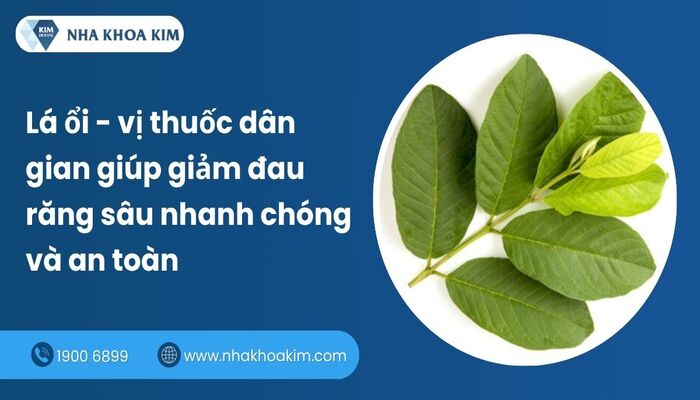 cách chữa đau răng sâu nhanh nhất tại nhà bằng lá ổi