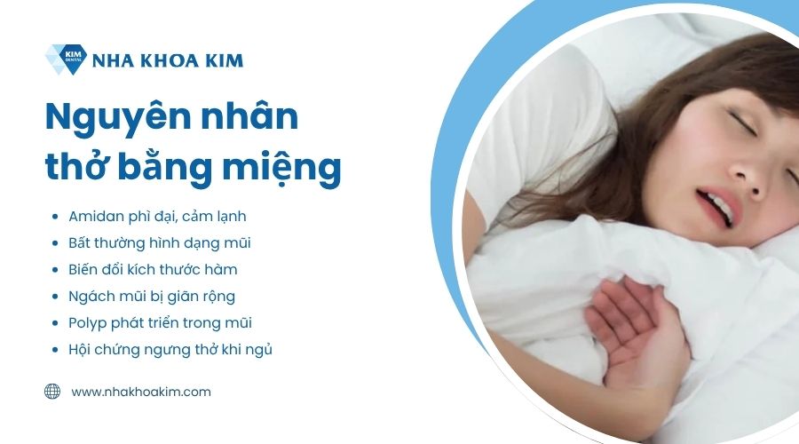 nguyên nhân thở bằng miệng khi ngủ