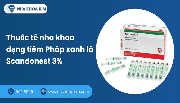 thuốc tê nha khoa dạng tiêm