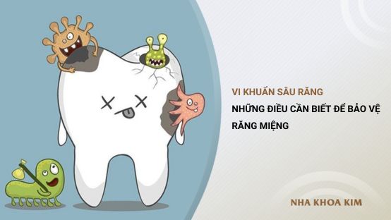 Vi khuẩn sâu răng và những điều cần biết để bảo vệ răng miệng