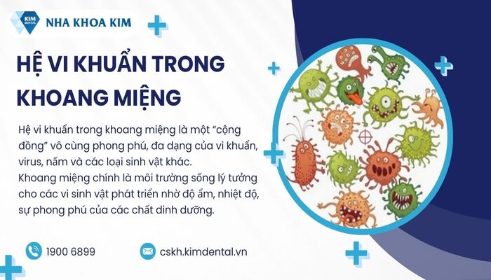 hệ vi khuẩn ở khoang miệng