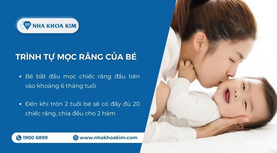 trình tự mọc răng ở trẻ