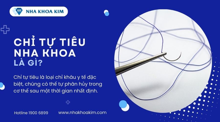 chỉ tự tiêu là gì