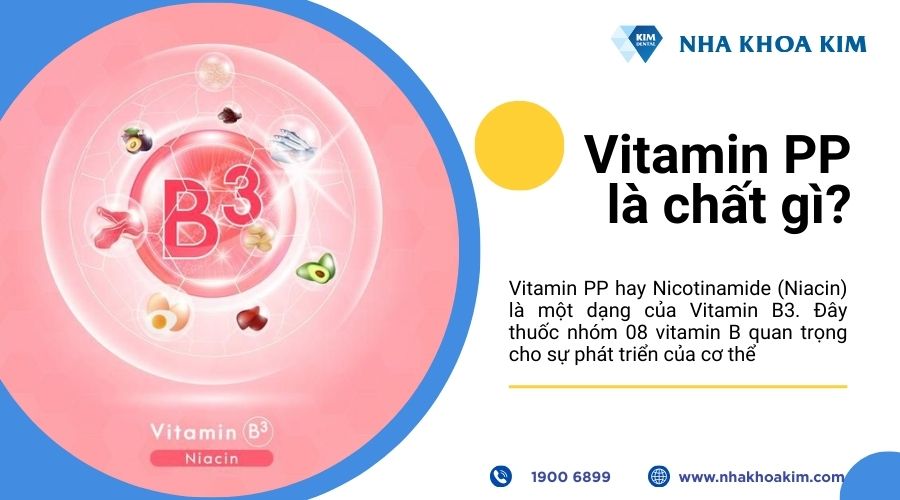 vitamin pp là gì