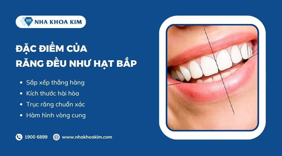 Đặc điểm của răng hạt bắp