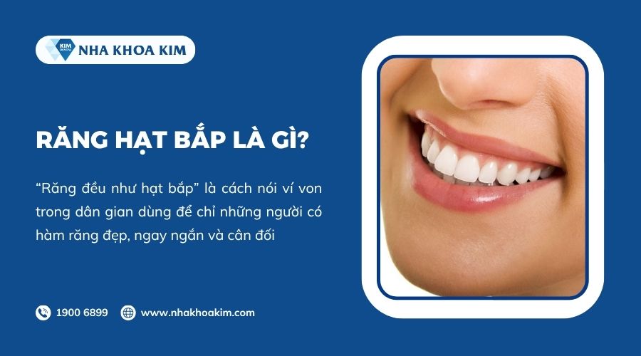 Răng hạt bắp là gì
