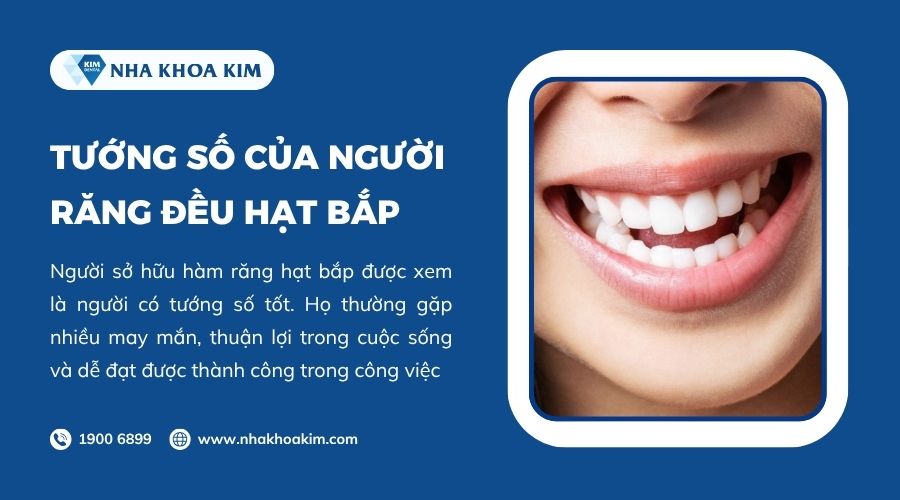 Tướng số của răng đều hạt bắp