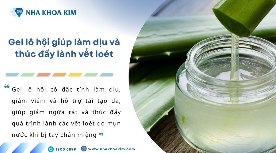 Gel lô hội giúp làm dịu và thúc đẩy lành vết loét