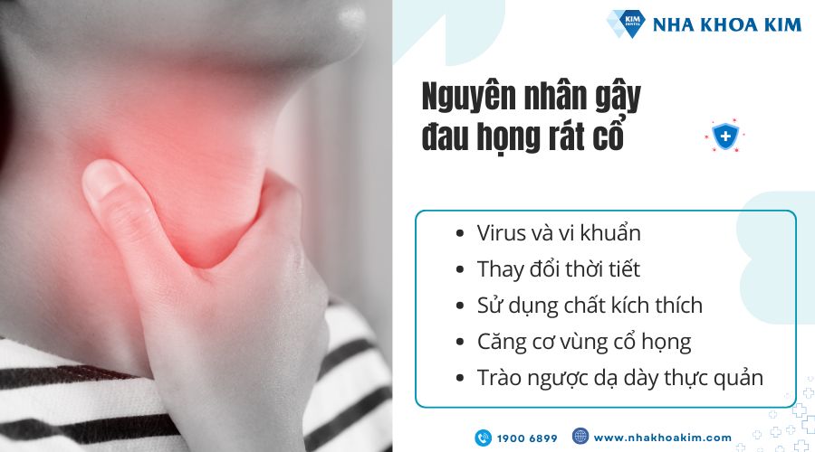 Nguyên nhân gây đau họng rát cổ