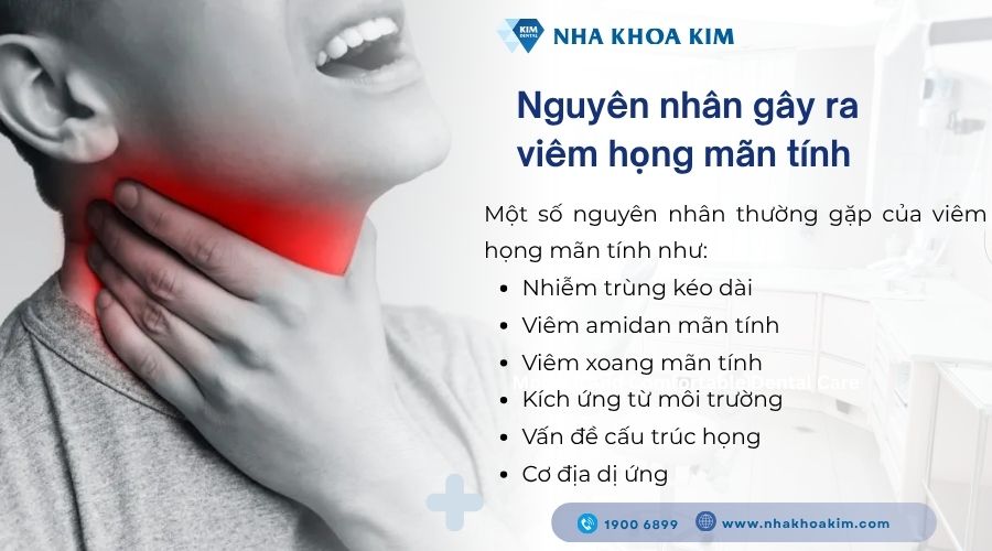 Nguyên nhân gây ra viêm họng mãn tính