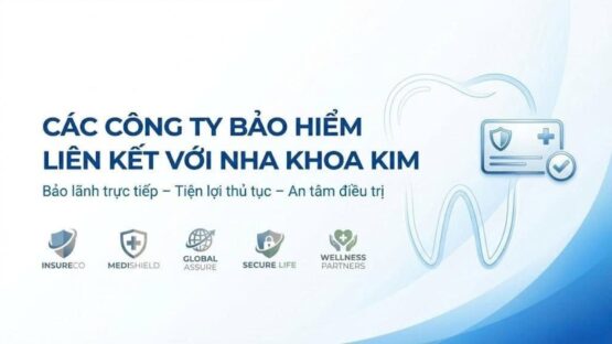 Các công ty bảo hiểm liên kết với Nha Khoa Kim: Điều trị chất lượng tại hệ thống dẫn đầu xếp hạng do Sở Y tế công bố